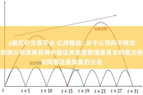 a股杠杆交易平台 亿纬锂能: 关于公司向不特定对象发行可转换公司债券获得中国证券监督管理委员会同意注册批复的公告