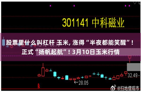 股票里什么叫杠杆 玉米, 涨得“半夜都能笑醒”! 正式“扬帆起航”! 3月10日玉米行情