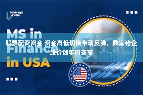 股票配资资金 资金高低切换带动反弹，数家猪企股价创年内新高