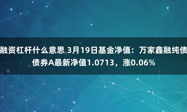融资杠杆什么意思 3月19日基金净值：万家鑫融纯债债券A最新净值1.0713，涨0.06%