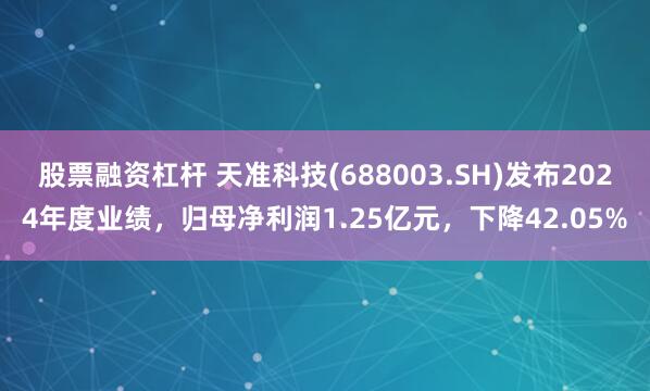 股票融资杠杆 天准科技(688003.SH)发布2024年度业绩，归母净利润1.25亿元，下降42.05%