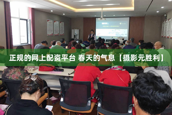 正规的网上配资平台 春天的气息【摄影元胜利】