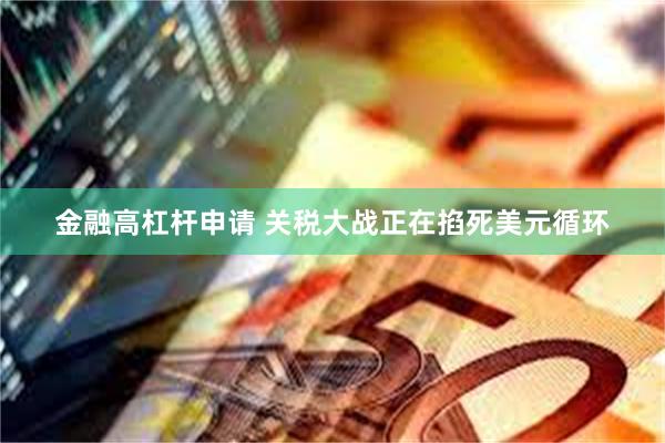 金融高杠杆申请 关税大战正在掐死美元循环