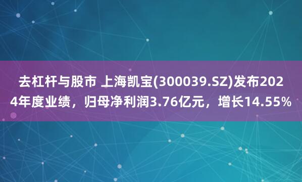 去杠杆与股市 上海凯宝(300039.SZ)发布2024年度业绩，归母净利润3.76亿元，增长14.55%