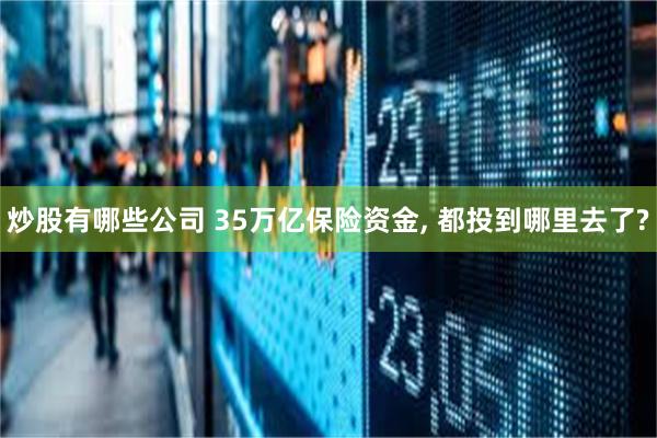 炒股有哪些公司 35万亿保险资金, 都投到哪里去了?