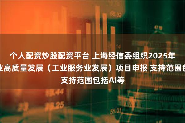 个人配资炒股配资平台 上海经信委组织2025年促进产业高质量发展（工业服务业发展）项目申报 支持范围包括AI等