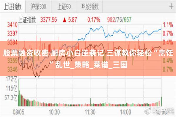 股票融资收费 厨房小白逆袭记 三谋教你轻松“烹饪”乱世_策略_菜谱_三国