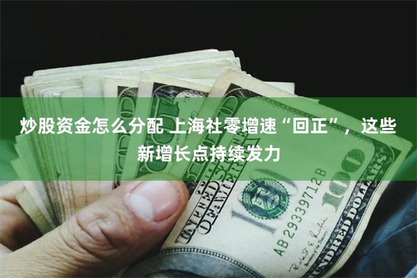 炒股资金怎么分配 上海社零增速“回正”，这些新增长点持续发力